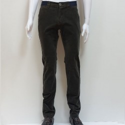 Chino Velours Sapin COFOX